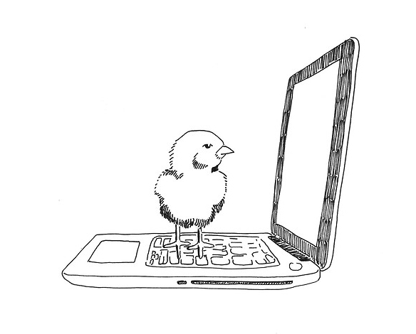 Fairy Tales For 20-Somethings: Chicken Little's Insecurities About Facebook