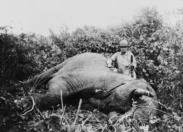 Roosevelt standing next to a dead elephant during a safari.