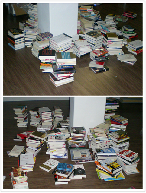 My library (in infancy), mid-move. August 2008. Downtown Los Angeles