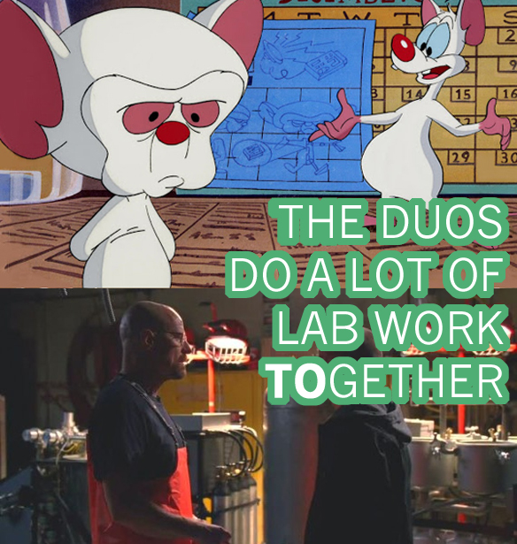 Here Are Some Magnificent Similarities Between Breaking Bad & Pinky And The Brain