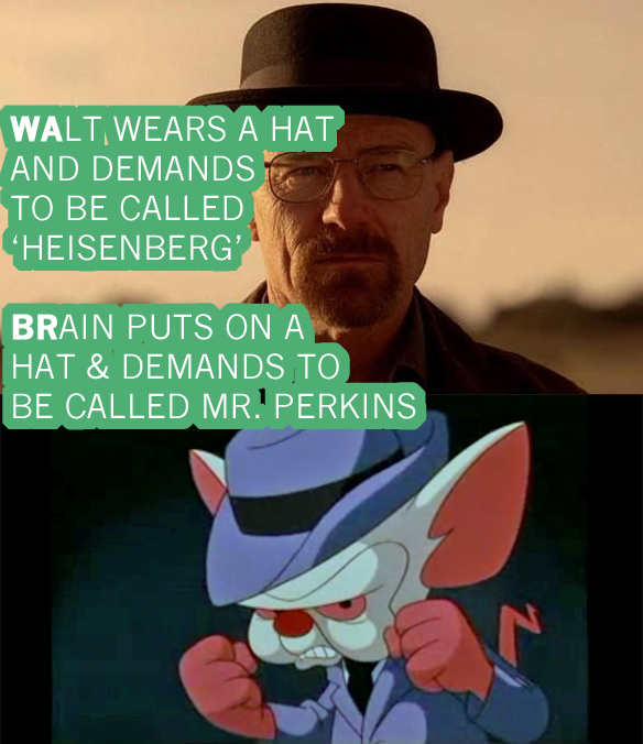 Magnificent Similarities Between Breaking Bad & Pinky And The Brain
