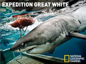  Expedition Great White Season 1