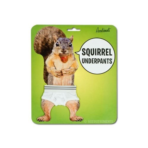 Accoutrements Squirrel Underpants