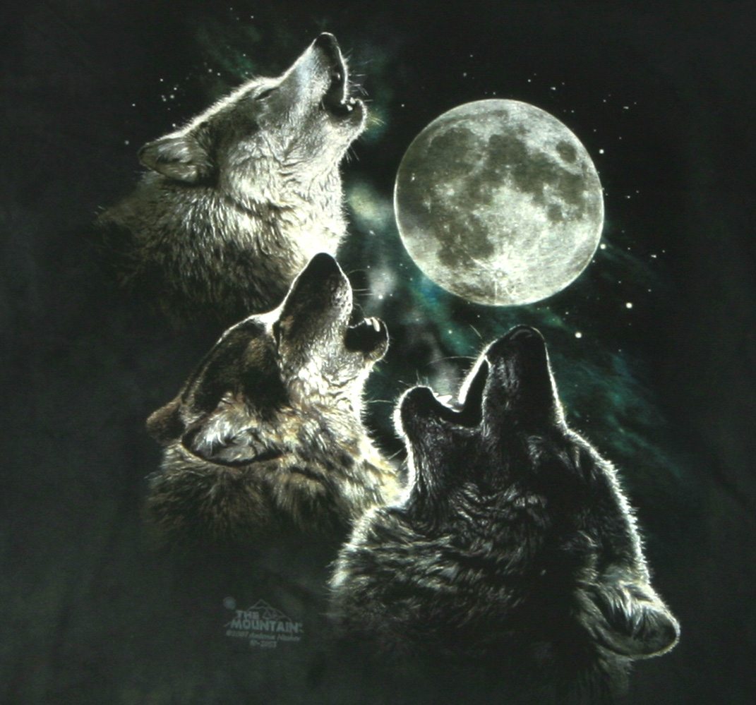 The Mountain Three Wolf Moon Short Sleeve Tee