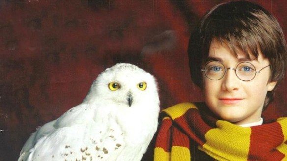 Harry Potter Years 1-7 Part 1 Gift Set
