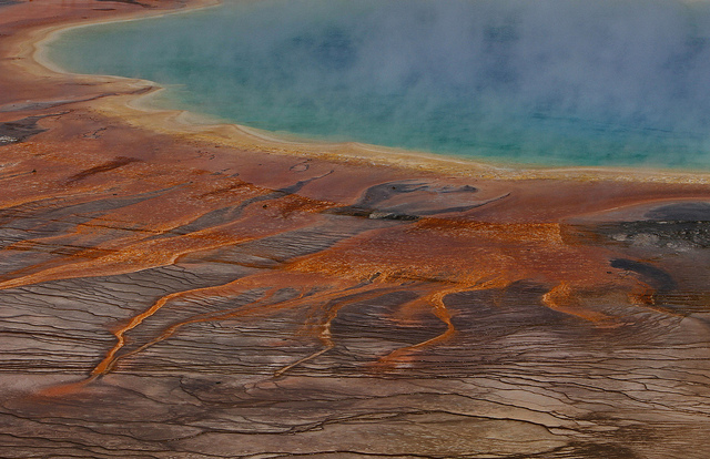 Flickr / YellowstoneNPS