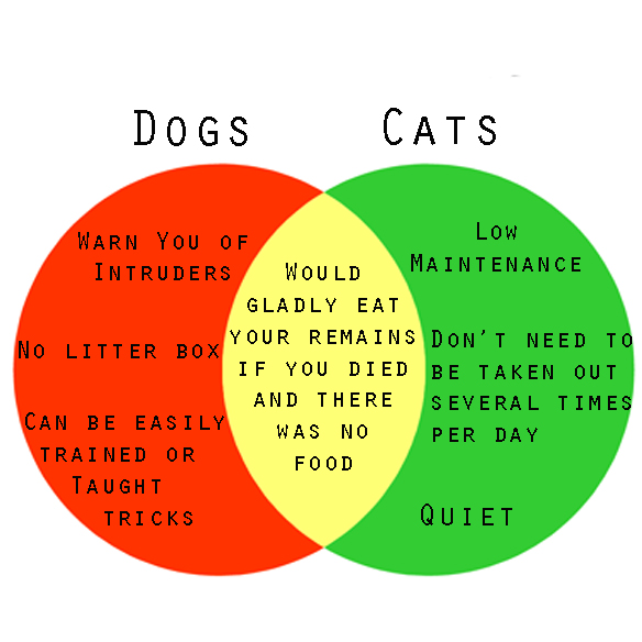 dogs or cats