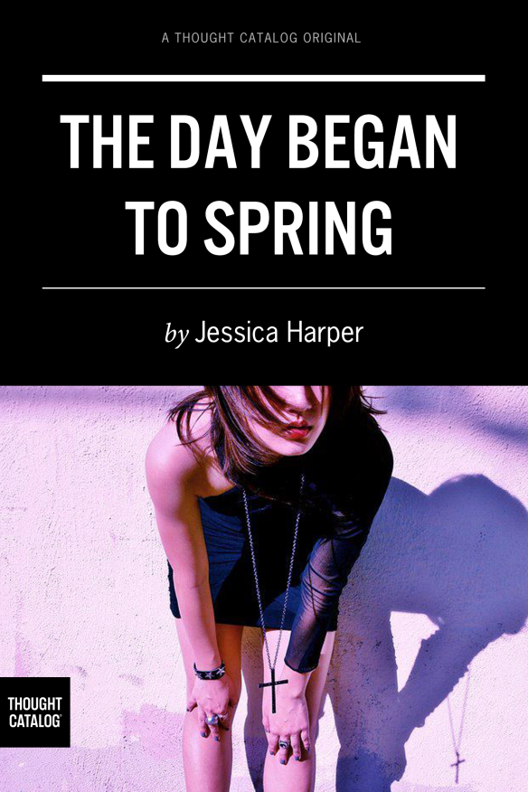 The Day Began To Spring cover