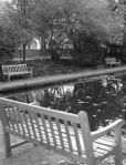 early march 1973 march 8 bench at lily pond