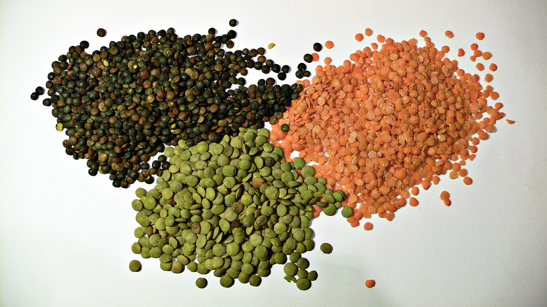 Source: 3 types of lentil". Licensed under CC BY-SA 2.0 via Wikimedia Commons.