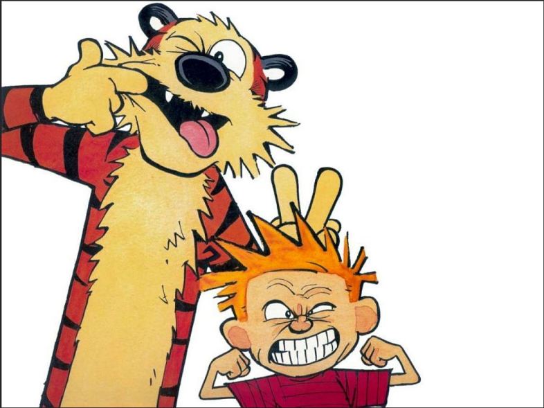 The Hidden Message In Calvin and Hobbes That Everyone Missed | Thought  Catalog