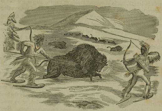 Long before people had the option to blind themselves to where their food comes from, an illustration of a buffalo hunt, 1855.  Wikimedia Commons