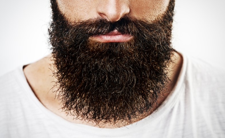 Barbaroses / (Shutterstock.com)