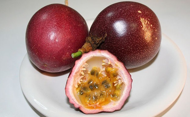 Top 10 Worst Fruits to Get Blowjobs From