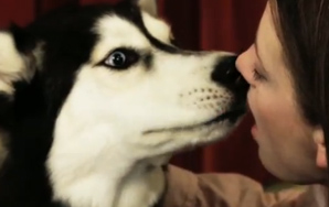 In Case You Were Interested: Here's A Video Of People French Kissing Dogs