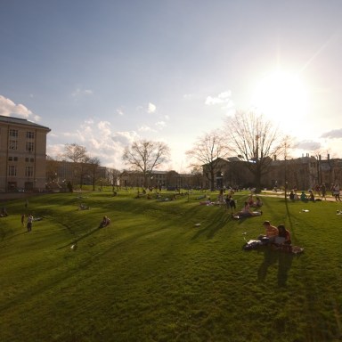 Dubious Advice For College Freshmen