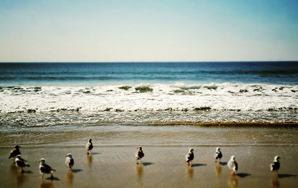 A Checklist For Summertime