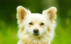 Some Pet Names I’ve Been Called That Still Make Me Tingle