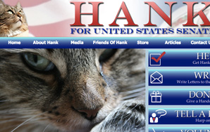 Cat Runs For Senate In Virginia, Comes In 3rd