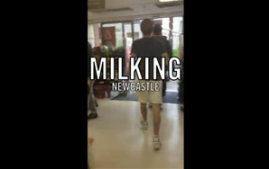 Milking Is The New Planking