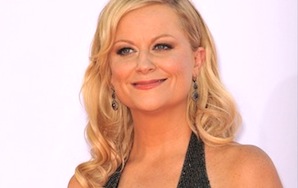 Wife Material, Vol. 6: Amy Poehler