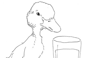 Fairy Tales For 20-Somethings: The Ugly Duckling Sits At A Bar