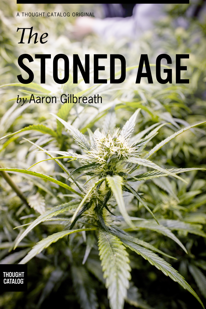 The Stoned Age