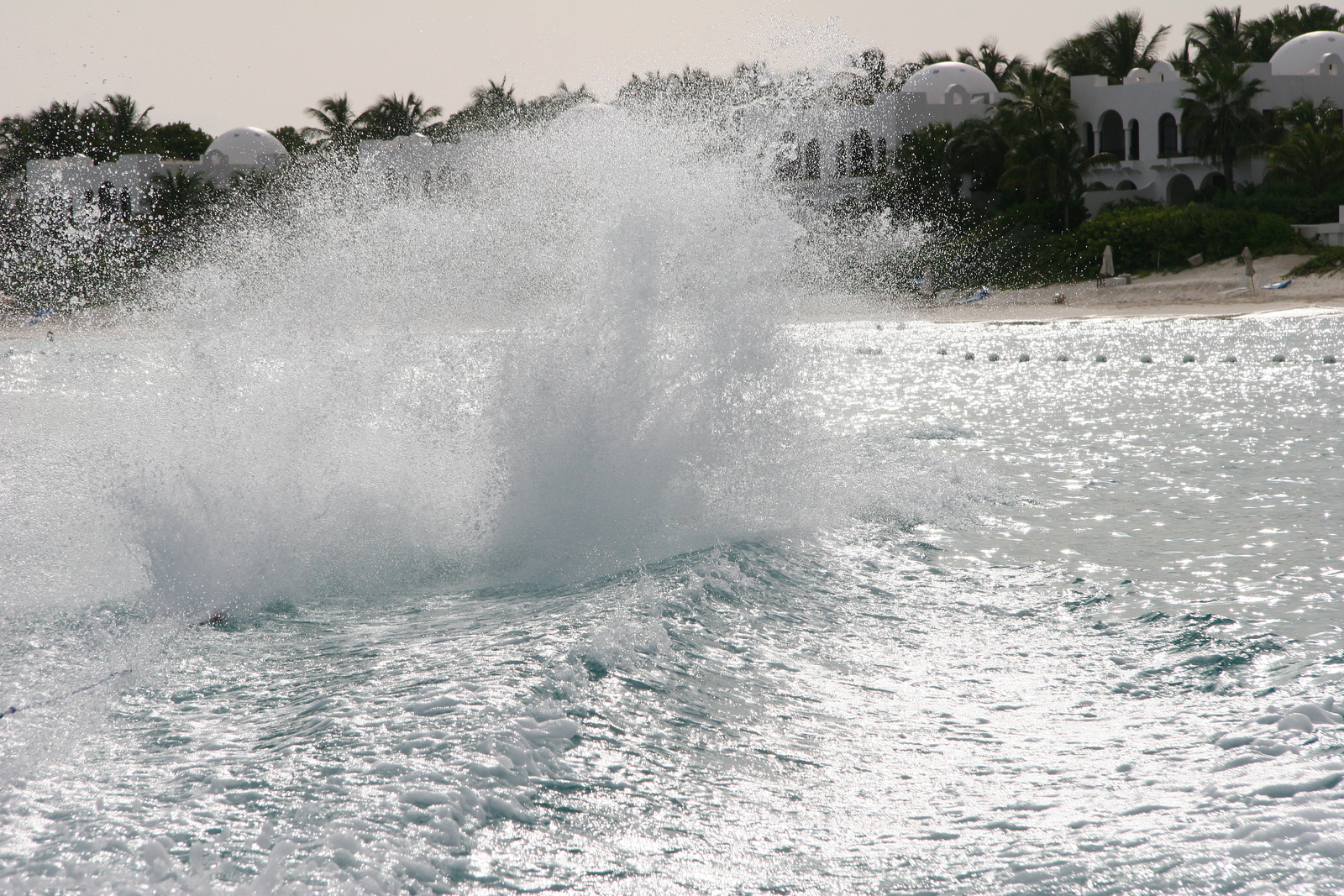 182027 essay 08 image