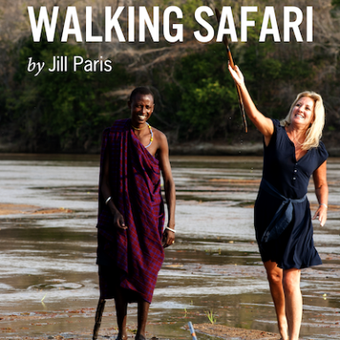 Life Is Like A Walking Safari
