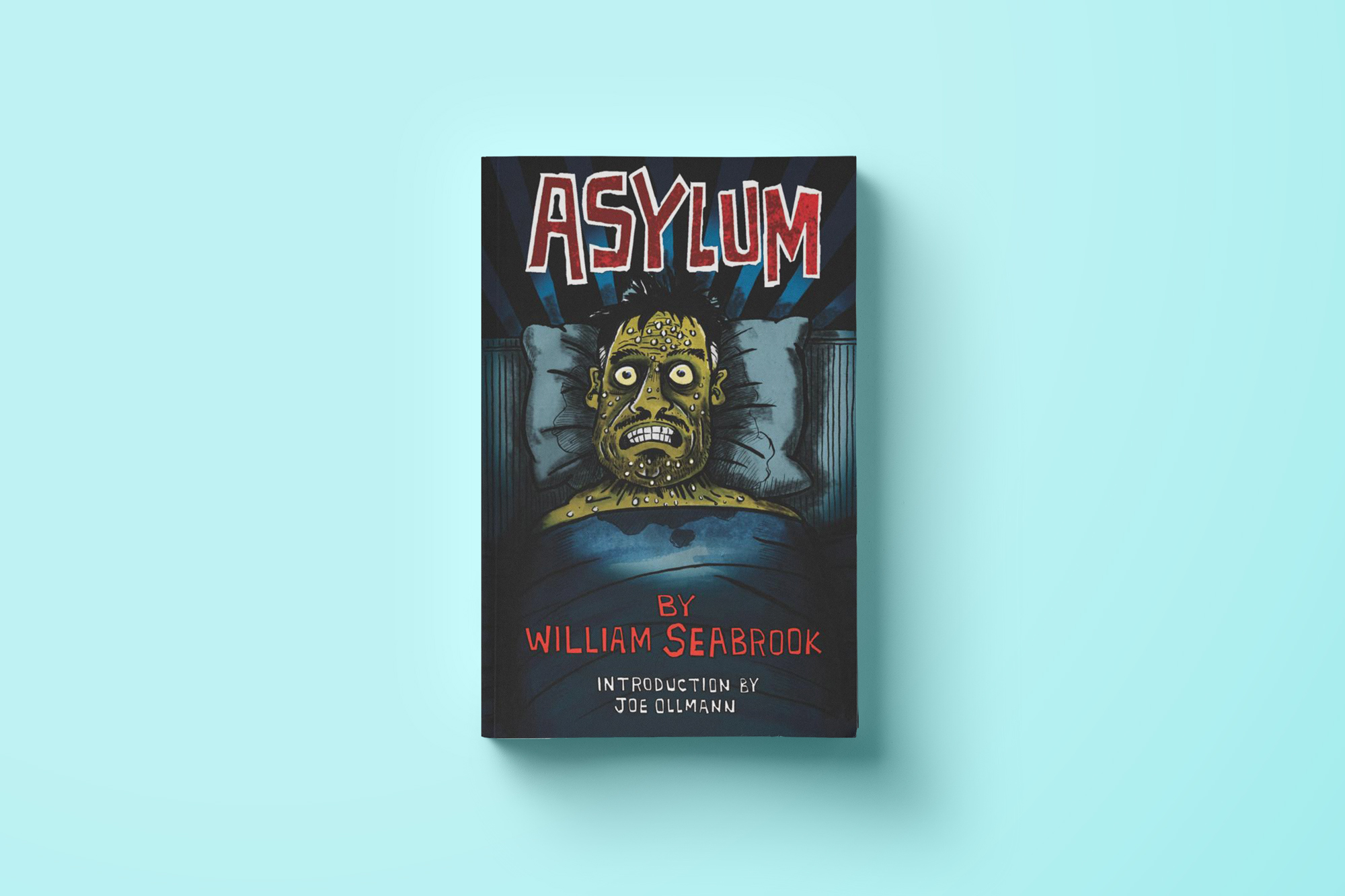 Memoirs From the Asylum by Kenneth Weene