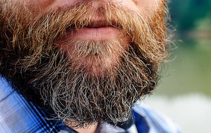20 Things You Should Know About Beards