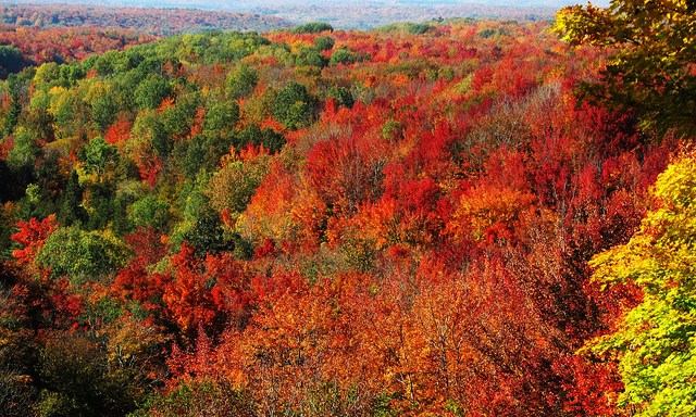 47 Signs You’re From Michigan
