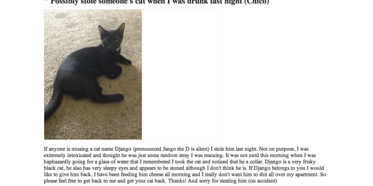 Best Craigslist Ad Of The Week: Possibly Stole Someone’s Cat When I Was Drunk Last Night