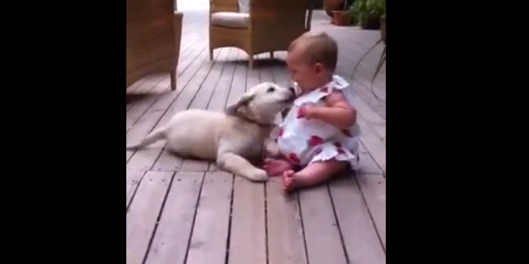 Calm Your Nerves Down With This Cute Video Of A Puppy And A Baby Hanging Out