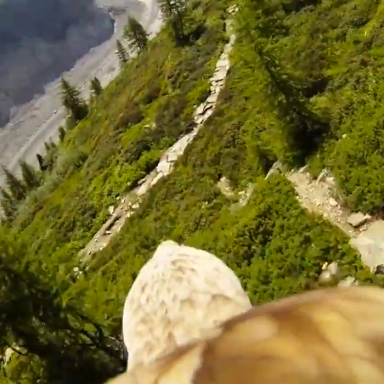 Watch This Sweet Video Of A GoPro Strapped To An Eagle So You Pretend You’re On Its Back