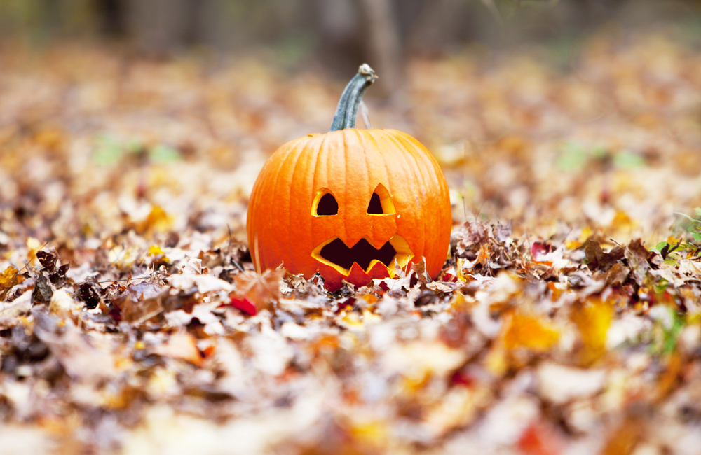 20 Reasons Why Halloween Is Better Than Other Holidays  Thought Catalog