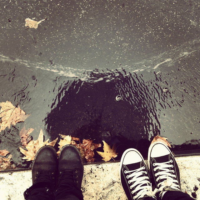 Falling In Love Again Thought Catalog