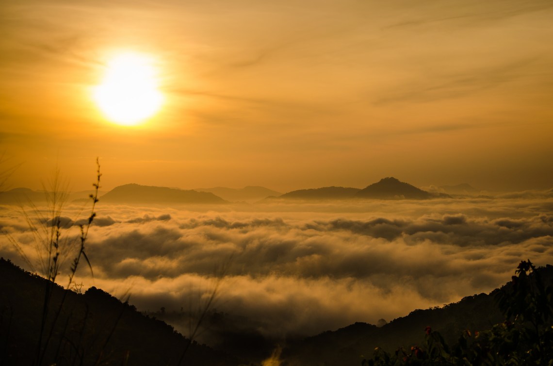 Flickr / uditha wickramanayaka