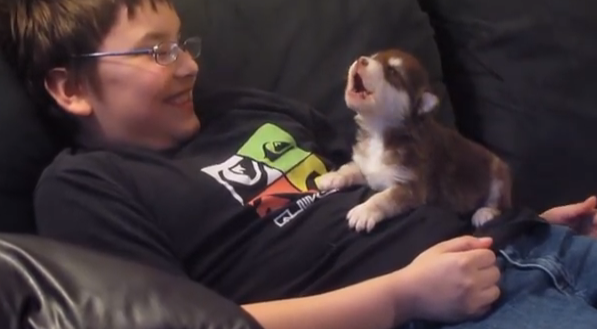 Watch This 20-Day-Old Husky Learn To Howl And Feel Your Heart Melt