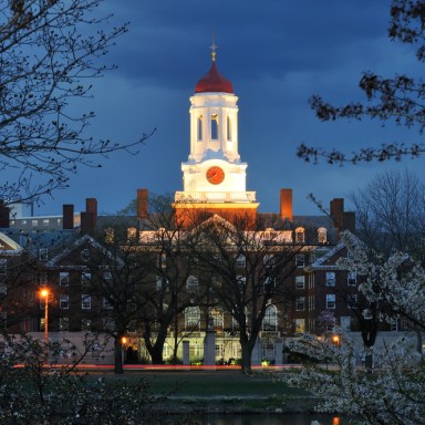 Confessions of a Victim of Post-Traumatic Harvard Disorder