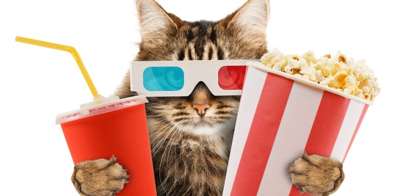 A Comprehensive List Of Recommendations For Your Next Movie Night