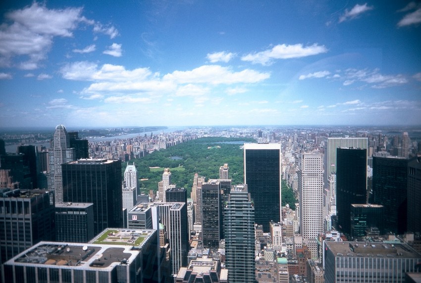 50 Signs You Grew Up In New York City