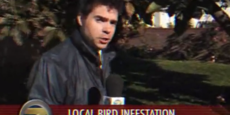 Getting Bird Poop In Your Mouth On Live TV Is Probably The Worst Thing That Can Happen To A Reporter