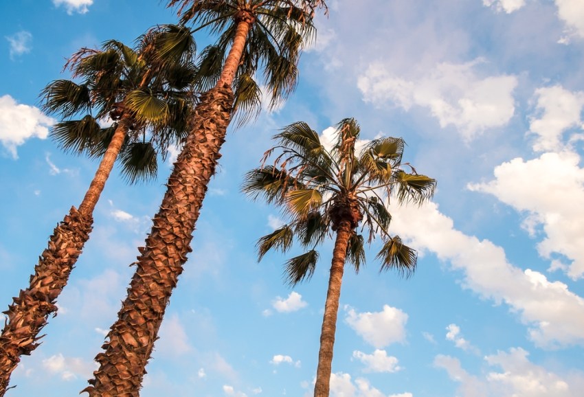 10 Life-Changing Things You Can Learn From Californians