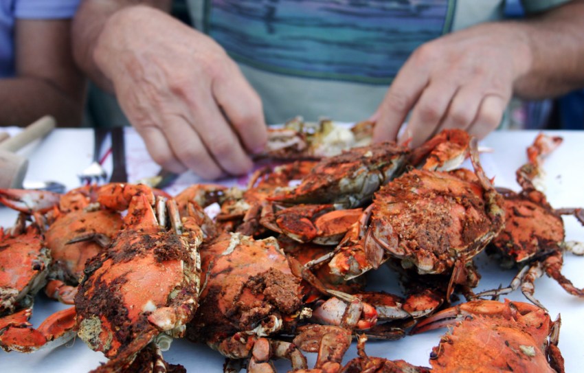 The 9 Things You Must Eat When You’re In Maryland