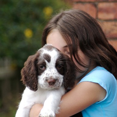 15 Signs You’re An Overly Obsessed Dog Lover