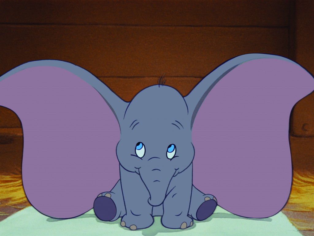 big dumbo teddy