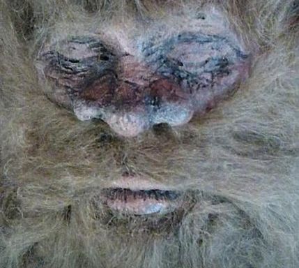 PETA Comes To The Defense Of Bigfoot, Probably Still Want To Be Taken Seriously