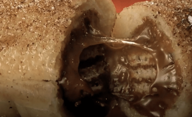 13 Insane Junk Foods You Can’t Get In America