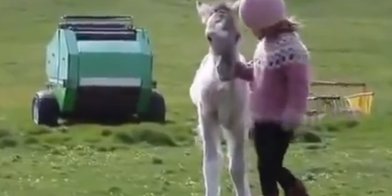 Melt Your Heart With This Video Of A Rescued Foal Playing With A Little Girl